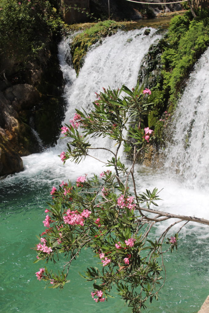 Wasserfälle & Oleander der Fonts de L'Algar